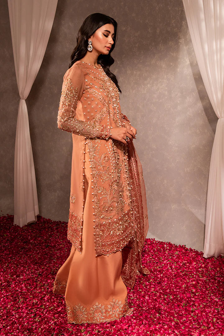 AARZOO