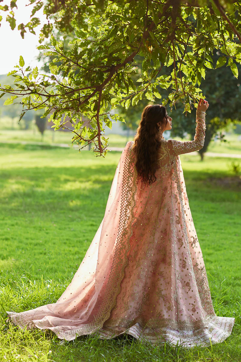 SAIRA