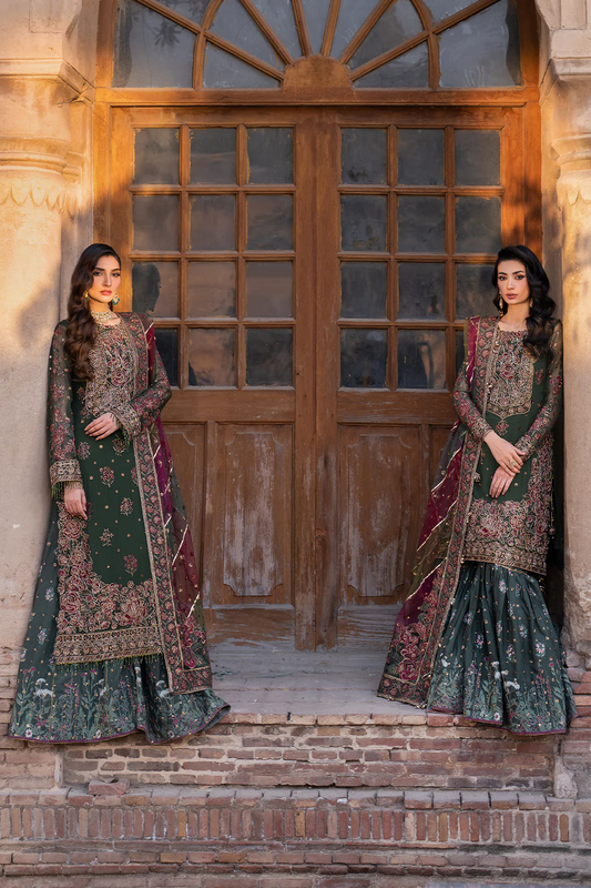 ILC-01 EMBROIDERED CHIFFON