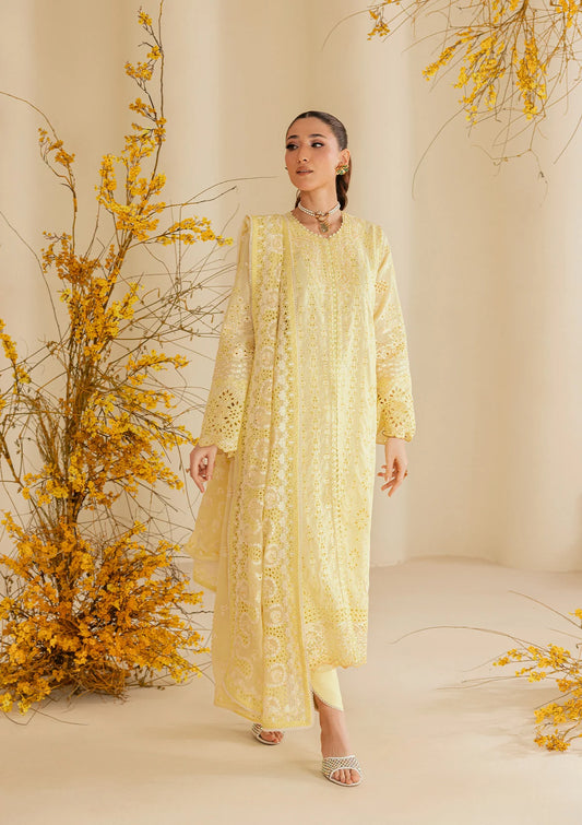 LAWN - LOOK B2604A